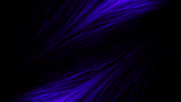 Abstract Beautiful Colorful Feathers Appear Disappear Black Background Motion Feathers — Stock Video