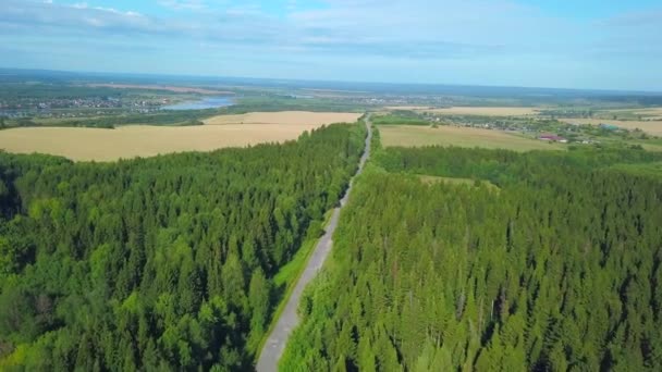 Ovanifrån Pittoreska Gröna Skogar Med Väg Och Horisont Klipp Vägen — Stockvideo