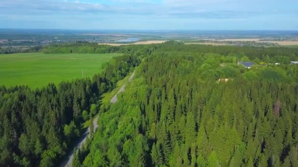 Ovanifrån Pittoreska Gröna Skogar Med Väg Och Horisont Klipp Vägen — Stockvideo