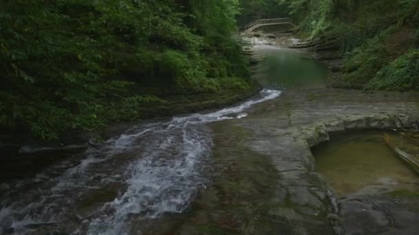 Φυσικό Άγριο Φόντο Ένα Ορεινό Ποτάμι Και Ένα Ρέμα Ανάμεσα — Αρχείο Βίντεο