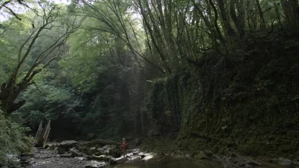 Tourists Looks Rocks Jungle Creative Mother Child Hiking Jungle Hikers — Stock Video