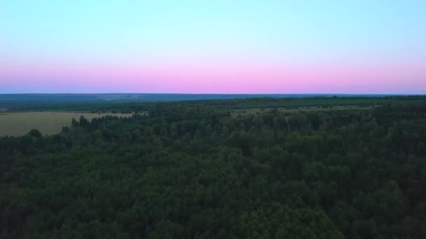 Vista Aérea Hermoso Bosque Verde Verano Sobre Fondo Azul Rosa — Vídeo de stock