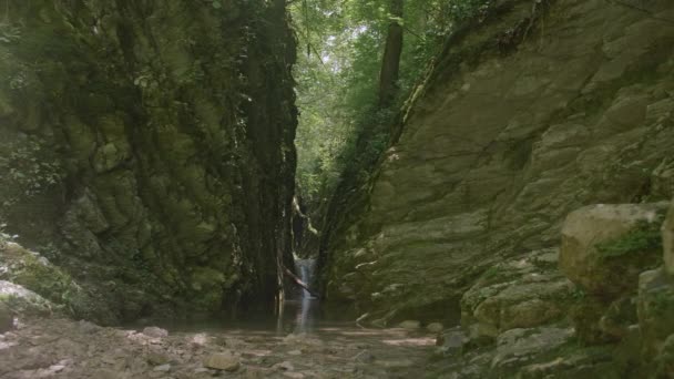 陡峭的自然背景 山间绿狭隘的峡谷 夏天的时候 青翠的小河在群山中隐没在阴影中 — 图库视频影像