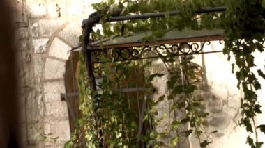 Siyah metal verandasında yeşil sarmaşık ve liken olan eski taş ev. Yaratıcı. Eski bir binanın duvarının önündeki yeşil bitki örtüsü.