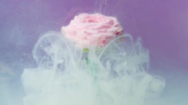  Parlak makro fotoğraf. Tock görüntüsü. Üzerinde dumanın parlak bir arkaplanda üflendiği çeşitli çok renkli çiçekler. Yüksek kaliteli FullHD görüntüler