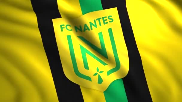 Logo Nantes Motion Emblema Della Squadra Calcio Francese Della Città — Video Stock