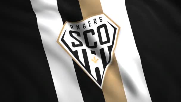 Emblema Angers Movimento Símbolo Clube Futebol Francês Cidade Mesmo Nome — Vídeo de Stock