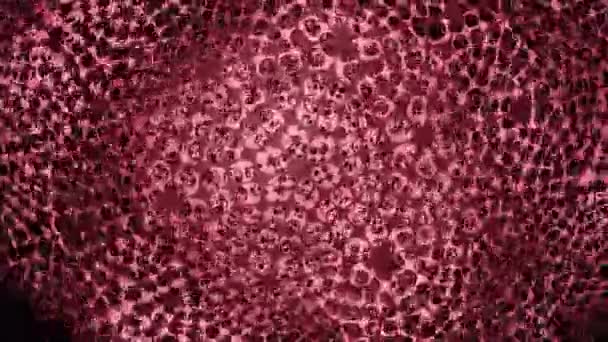 風に熟した抽象的なカラフルな穴の生地 デザイン 小さな穴の美しいパターンを持つ丸型ナプキン — ストック動画