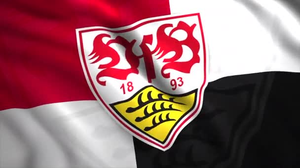 Emblema Clube Futebol Bandeira Moção Bela Bandeira Clube Futebol Alemão — Vídeo de Stock