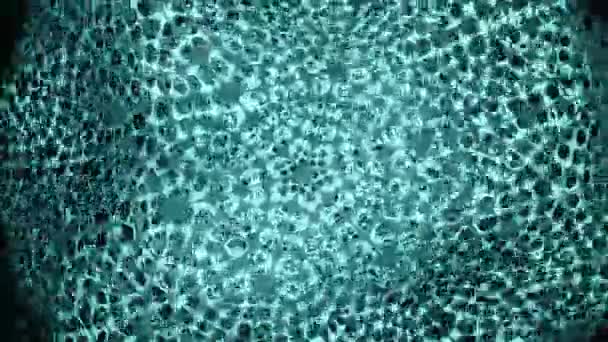 Medusas Abstratas Iluminadas Com Luar Azul Nadando Mar Desenho Criatura — Vídeo de Stock