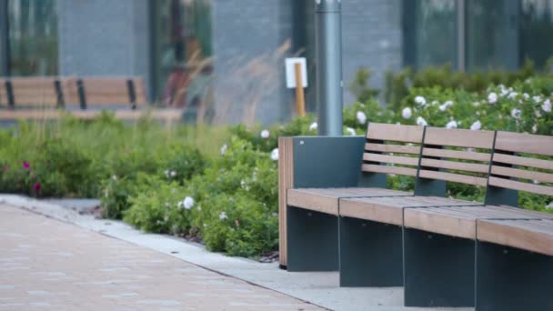 Bancs Dans Parc Bien Entretenu Images Archives Paysage Cour Dans — Video