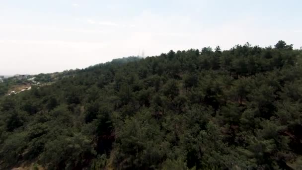 曇りの空の背景にある緑の夏の山の上を飛ぶ ショット 緑と丘の上の空想的な眺め — ストック動画
