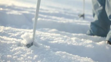 Kayakçılar için kış pisti. Yaratıcı. Kışın karla kaplı ormanda çıplak ağaçların ve dalların yanında kayak üzerinde yürüyen insanlar. Yüksek kalite 4k görüntü