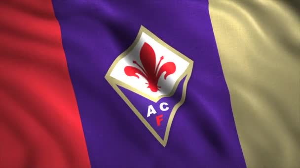 Acf Fiorentina Talyan Profesyonel Futbol Kulübü Bayrağı Sallıyor Hareket Spor — Stok video
