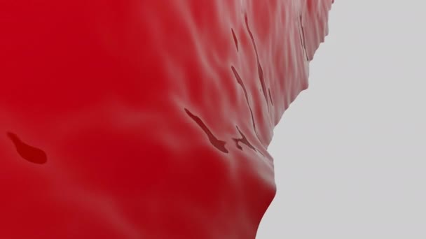 Close Vermelho Ondulação Substância Geleia Vermelha Sobre Fundo Branco Desenho — Vídeo de Stock