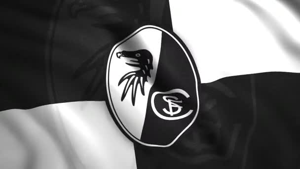 Alman Futbol Takımının Amblemli Bayrağı Hareket Üzerinde Futbol Takımı Logosu — Stok video