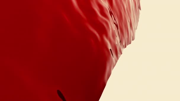 Красная Ткань Движется Волнами Дизайн Ткань Волнистыми Рябками Движется Белом — стоковое видео