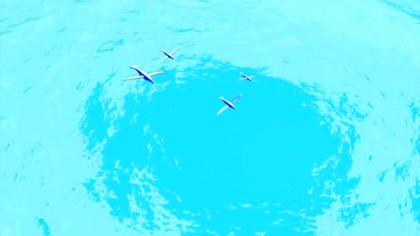 Boyutlu Animasyon Denizde Uçan Kuşlar Tasarım Mavi Suyun Üzerinde Uçan — Stok video
