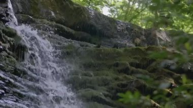 Bir su akıntısı yavaşça kayalardan aşağı akar. - Yaratıcı. Nehrin akışı dağlardaki taşların üzerinden akıyor. Ormanda yavaş bir dere akıyor..