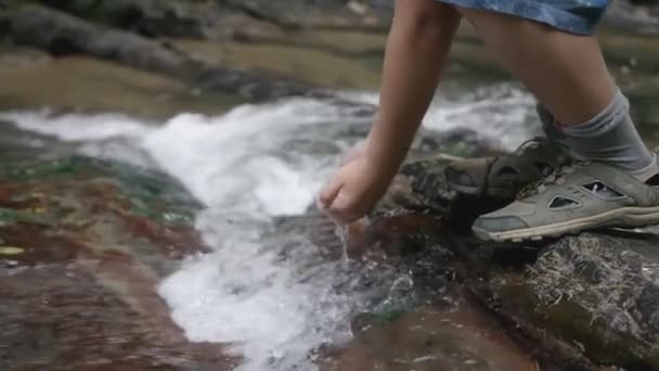 Anak Itu Berjalan Tepi Sungai Hutan Creative Hutan Hijau Close — Stok Video