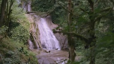 Ormandaki şelale. - Yaratıcı. Yeşil bitki örtüsünde bir şelale hızla düşüyor. Orman ve şelale. Göletin yanındaki yeşil alan..