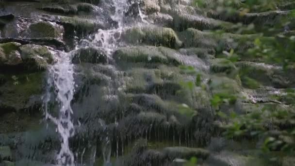 Stream Water Slowly Flows Rocks Creative Flow Stream Runs Stones — Stock Video