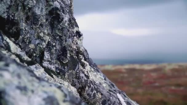 Een Deel Van Bergen Dichtbij Clip Steenoppervlak Met Korstmos Zwart — Stockvideo