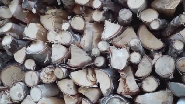 Houtstapel Clip Berkenhout Ligt Een Stapel Wit Droog Brandhout Gestapeld — Stockvideo