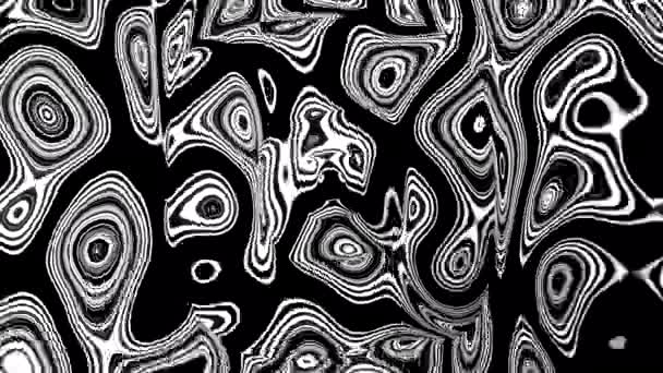 Textura Fluido Fiação Monocromática Desenho Abstrato Preto Branco Formas Aerodinâmico — Vídeo de Stock