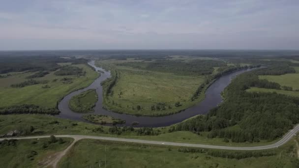 Pohled Ptačí Perspektivy Zelené Krajiny Záběry Skladu Krásná Krajina Zelených — Stock video
