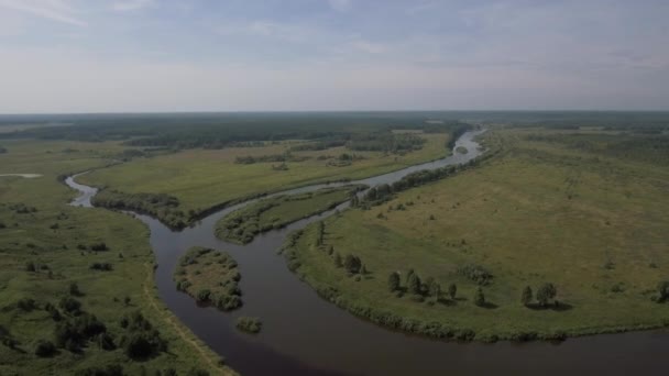 Πάνω Άποψη Του Όμορφου Ποταμού Στροφές Στο Παρασκήνιο Των Πράσινων — Αρχείο Βίντεο