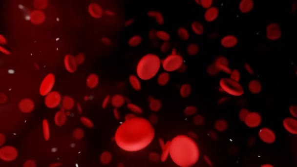 赤血球は動脈で血流に移動する デザイン 静脈を通って移動する3D流れるヘモグロビン細胞 — ストック動画