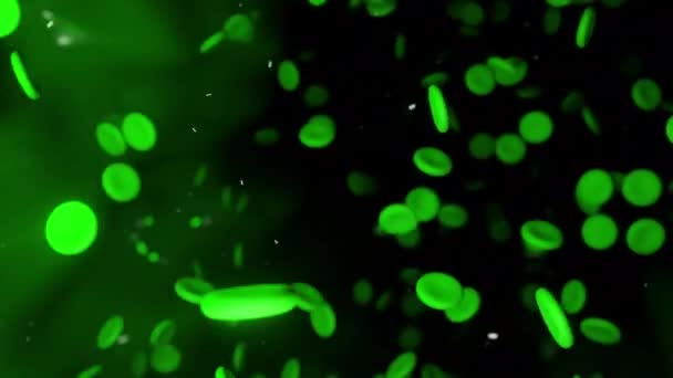 Corrente Sanguínea Alienígena Com Células Que Fluem Aleatoriamente Desenho Criatura — Vídeo de Stock