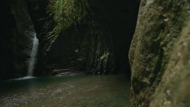 フォレスト ゴージャスの滝 クリエイティブ 森の暗いゴージャスで美しい神秘的な滝 森の中の滝と池がある神秘的なダークロック — ストック動画