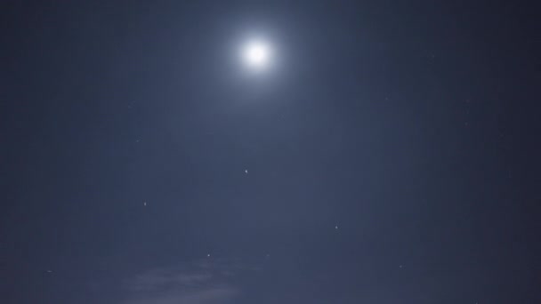 Vista Inferior Céu Noturno Com Lua Brilhante Pássaro Voador Acção — Vídeo de Stock