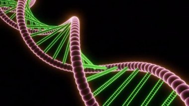 Siyah arka plan. Tasarım. Animasyonda birbiri etrafında dönen parlak DNA şekilli kıvrımlı bir şekil. Yüksek kalite 4k görüntü