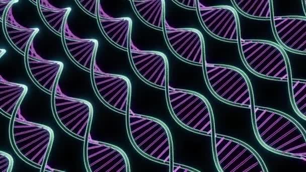 Schwarzer Hintergrund Design Schillernde Farbige Gewundene Genetische Codes Animation Hochwertiges — Stockvideo