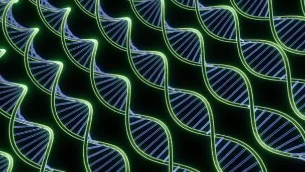 Moving Genetic Spirals Design Many Lines Genetic Dna Helices Dna ...