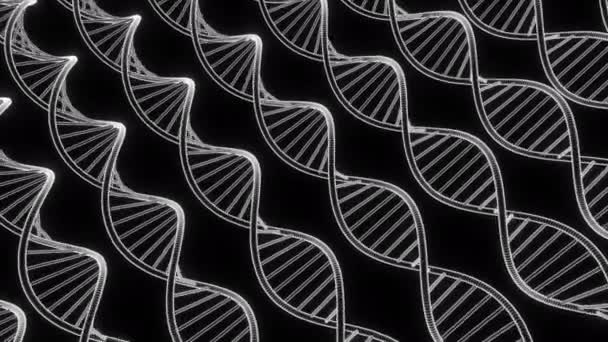 Abstracte Monochrome Wetenschappelijke Achtergrond Met Dna Spiralen Ontwerp Bewegende Dna — Stockvideo