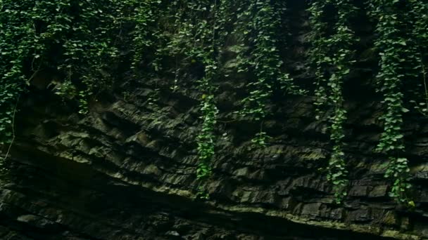 Skalista Ściana Zielonym Bluszczem Kreatywny Piękna Skalista Ściana Leśnym Zaroślach — Wideo stockowe