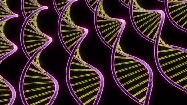 Spostamento Delle Spirali Genetiche Progettazione Molte Linee Eliche Genetiche Del — Video Stock