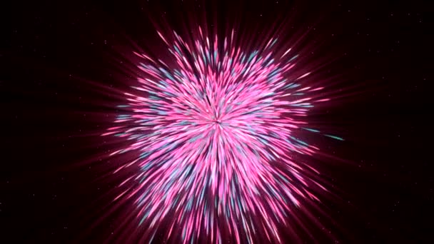 Splendidi Fuochi Artificio Uno Sfondo Scuro Del Cielo Notturno Mozione — Video Stock