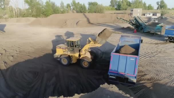セルビア ベオグラード 2021年7月30日 掘削機はダンプトラックで地球を埋める シーンか トラックや掘削機 砂鉱山の建設現場 掘削機とダンプトラックによる場所の略奪 — ストック動画