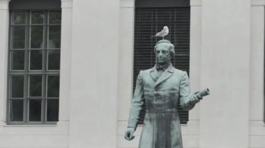 Güzel anıtlar. Aksiyon. Beyaz martıların uçtuğu ve turistleri etkileyen anıtları ve çeşmeleri olan antik mimari. Yüksek kalite 4k görüntü