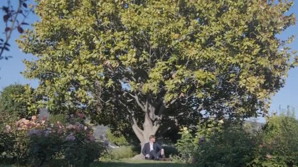 Пишне Зелене Дерево Літньому Саду Чоловік Костюмі Сидить Землі Спирається — стокове відео