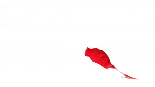 白色背景 设计动画中的红蓝相间的围巾 从它可以飞向不同的方向并涂上不同的颜色 高质量的4K镜头 — 图库视频影像