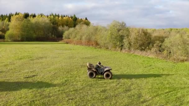 Yeşil Yaz Tarlası Bir Dronun Orman Yakınlarındaki Parlak Bir Tarlada — Stok video