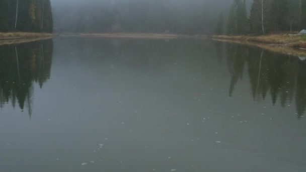 Paesaggio Buio Clip Spessa Nebbia Lago Una Foresta Freddi Nudi — Video Stock