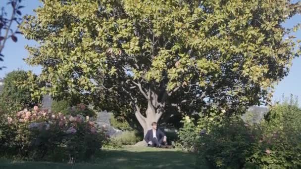 巨大な木の下に座っているスーツの男 暗い青いスーツの若者は緑の葉のある巨大な木の下の緑の草の上に座っています 高品質の4K映像 — ストック動画