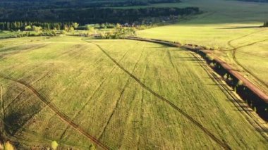 Yaz arazilerinin insansız hava aracı görüntüsü. Kırpın. Yeşil bitkiler, uzun çam ağaçları ve köknar ağaçları olan temiz alanlar. Yüksek kalite 4k görüntü